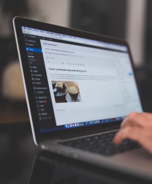 Man Posting to WordPress blog